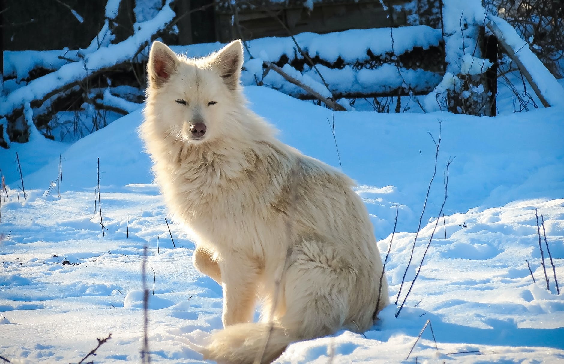 You CANNOT be replaced… a lesson I learned from trophic cascades. #WanderlustEDU #EdChat